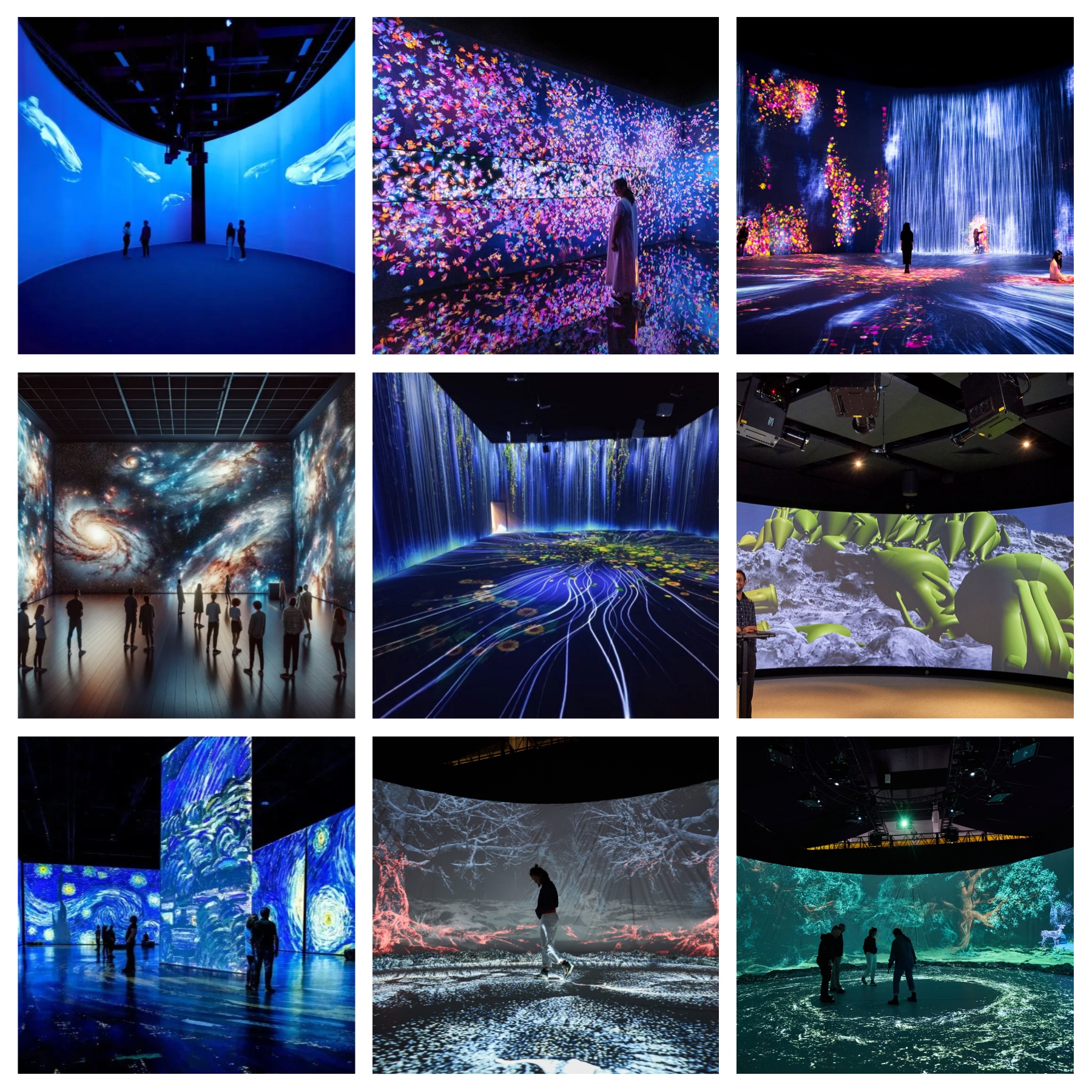 immersive projection