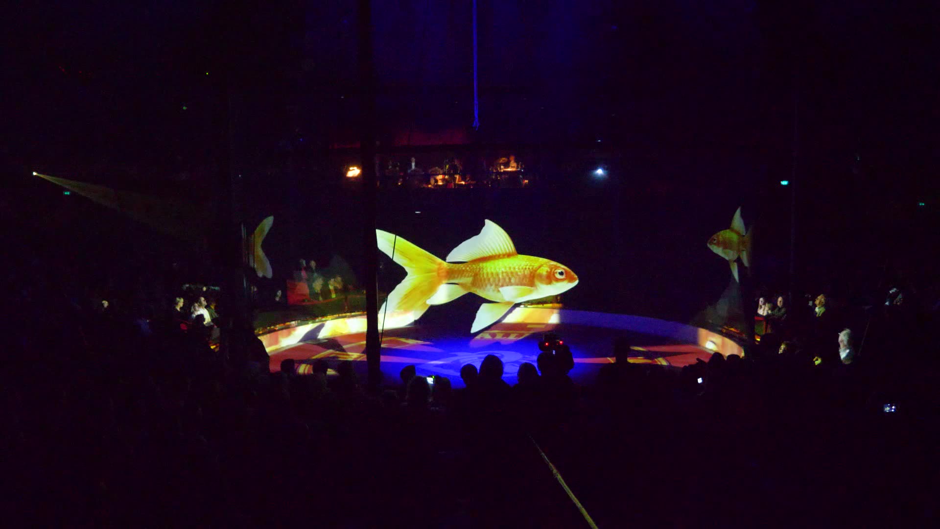 O1CN01HNWYpH1fGsxchpze0_!!6000000003980-0-tbvideo