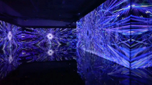 Leading holographic gauze , holographic gauze suppliers and manufactures